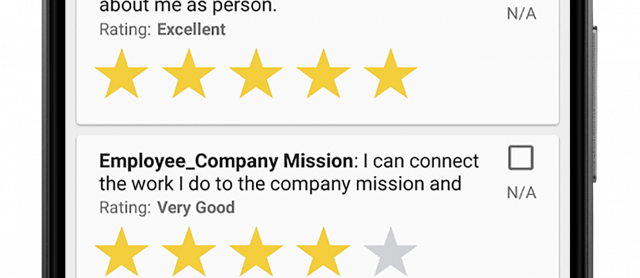 Employee Satisfaction Survey - TEAM's Quality Assurance Tool
