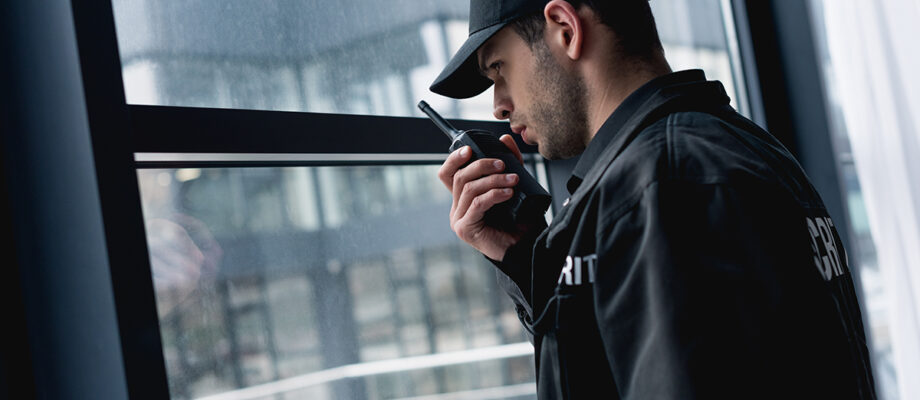Security Officer Role